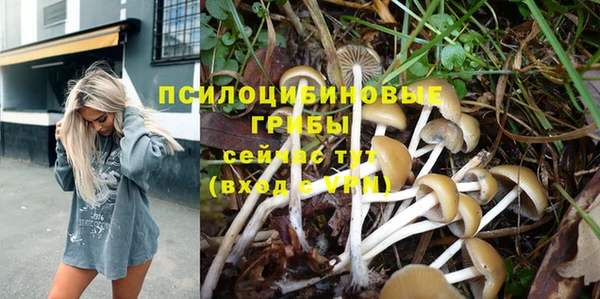 молекула духа Балабаново