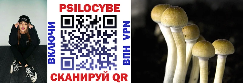 Псилоцибиновые грибы GOLDEN TEACHER  Иноземцево 